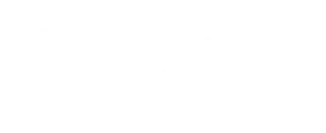 Betalingslogo